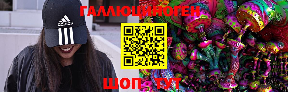 Галлюциногенные грибы мухоморы  Вход с VPN  Азов  даркнет сайт  Галлюциногенные грибы прущие грибы 